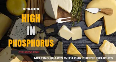 Feta Cheese and Phosphorus: What's the Deal?
