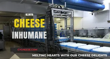 Feta Cheese: Ethical or Not?