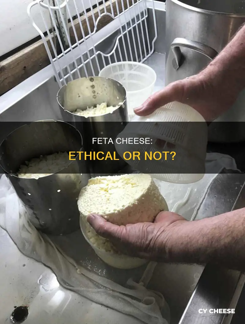 is feta cheese inhumane
