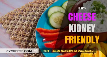 Feta Cheese and Kidney Health: What's the Verdict?