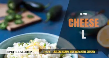 Feta Cheese: Is It Lactose-Free?