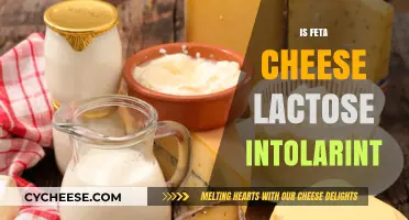 Feta Cheese and Lactose Intolerance: What's the Link?