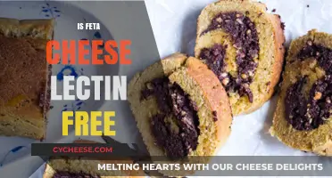Feta Cheese: Lectin-Free Superfood or Avoid?