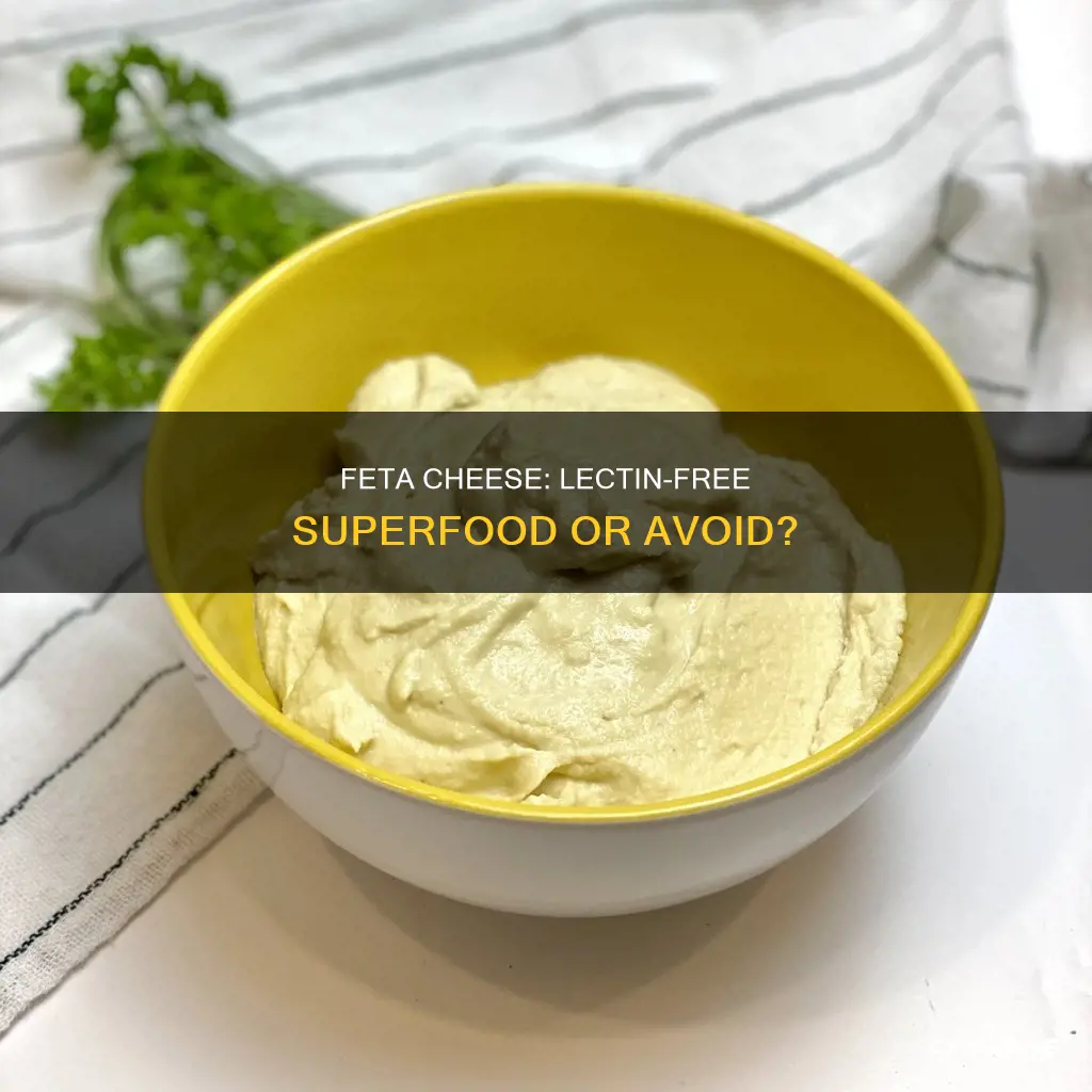 is feta cheese lectin free