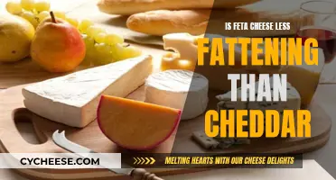 Feta vs. Cheddar: Unveiling the Creamy Truth