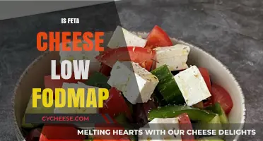 Feta Cheese and FODMAP: What You Need to Know