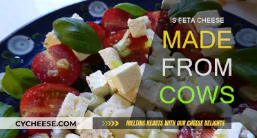 Feta's Origin: Cow's Milk or Goat's Milk?