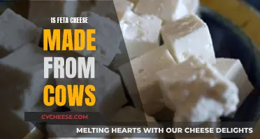 Feta Cheese: A Cow's Milk Delicacy?