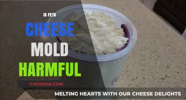 Feta Cheese Mold: Is It Safe to Eat?