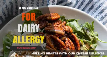 Feta Cheese and Dairy Allergies: Is It Safe?