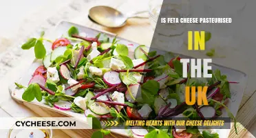 Feta Cheese in the UK: Is It Pasteurized?