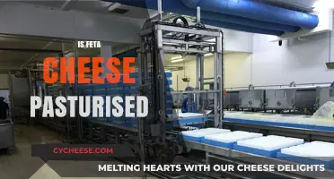 The Feta Cheese Conundrum: Is It Pasteurized?