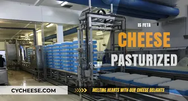 The Feta Cheese Conundrum: Is It Pasteurized?