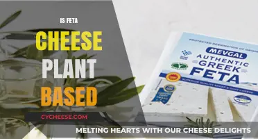 Feta Cheese: Plant-Based or Not?