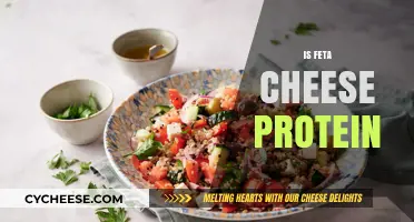 Feta Cheese: A Protein-Rich Superfood?