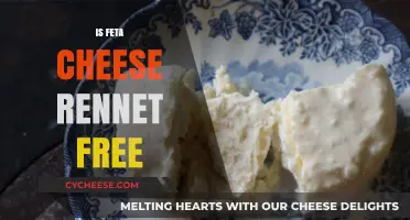 Feta Cheese: Rennet-Free or Not?
