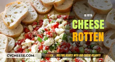 Feta Cheese: Rotten or Not?