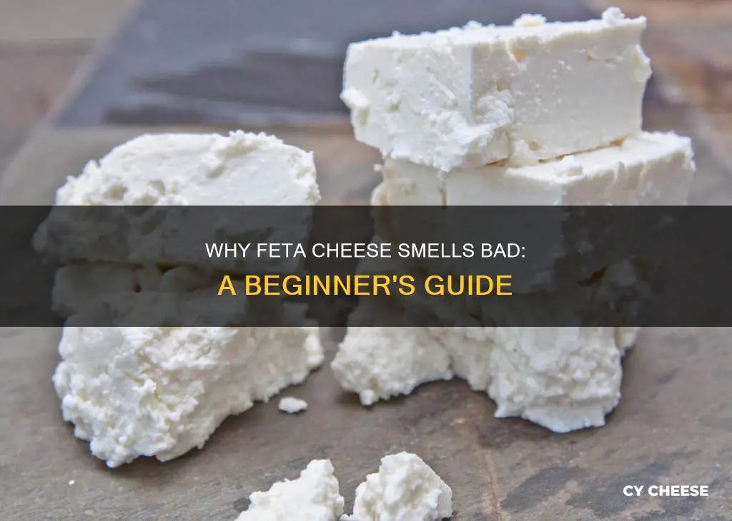 is feta cheese supposed to smell bad