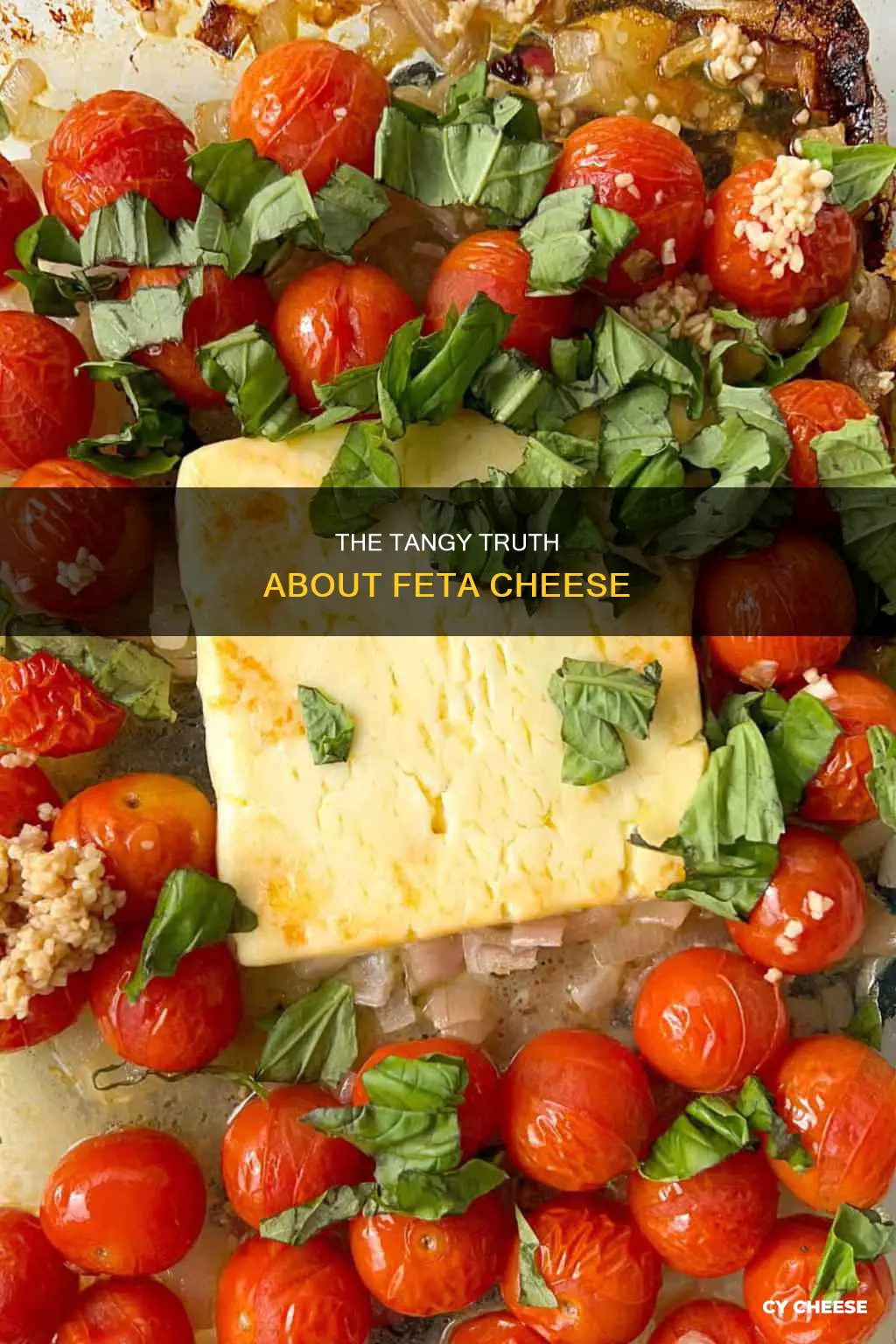 is feta cheese tangy