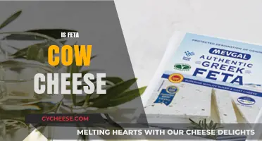 Feta Cheese: Cow or Goat's Milk?