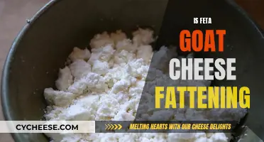 Feta vs. Goat Cheese: Unveiling the Healthy Choice