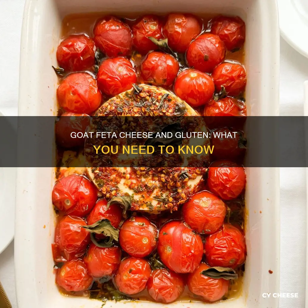 is feta goat cheese gluten free