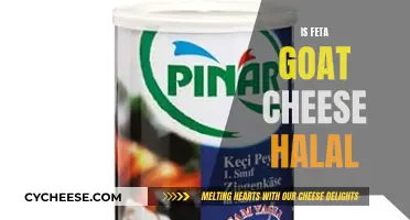 Feta Goat Cheese: Halal or Haram?