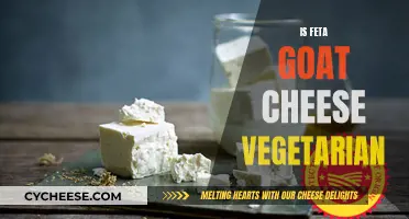 Feta's Origin: Is It Vegan-Friendly?