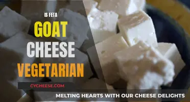 Feta Goat Cheese: A Vegetarian-Friendly Delicacy?
