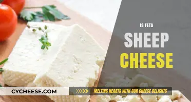 Sheep's Feta Cheese: What's the Deal?