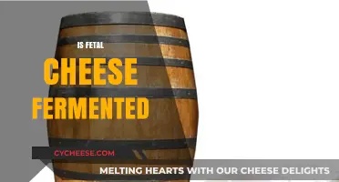 Is Fetal Cheese Fermented? Unraveling the Unique Aging Process