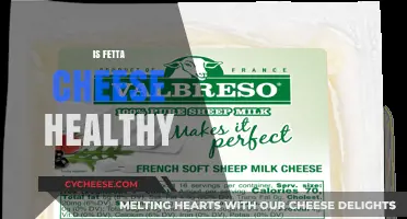 Fetta Cheese: Healthy or Harmful?