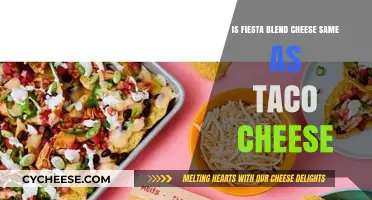 Fiesta Blend vs Taco Cheese: Are They the Same?