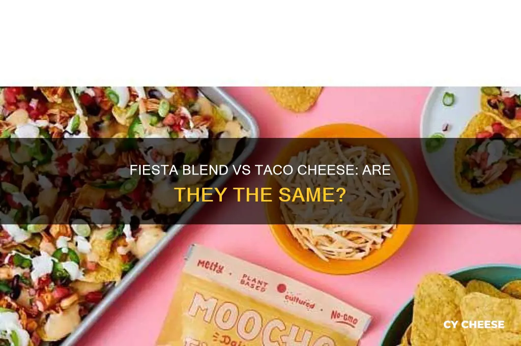 is fiesta blend cheese same as taco cheese