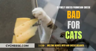 Parmesan Cheese: Safe Treat or Feline Danger?