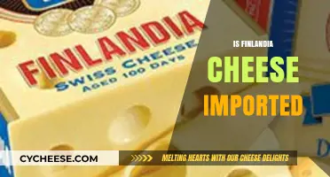Is Finlandia Cheese Imported? Exploring Its Origin and Availability