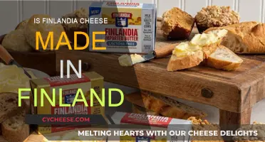 Unveiling the Origin: Is Finlandia Cheese Finnish?