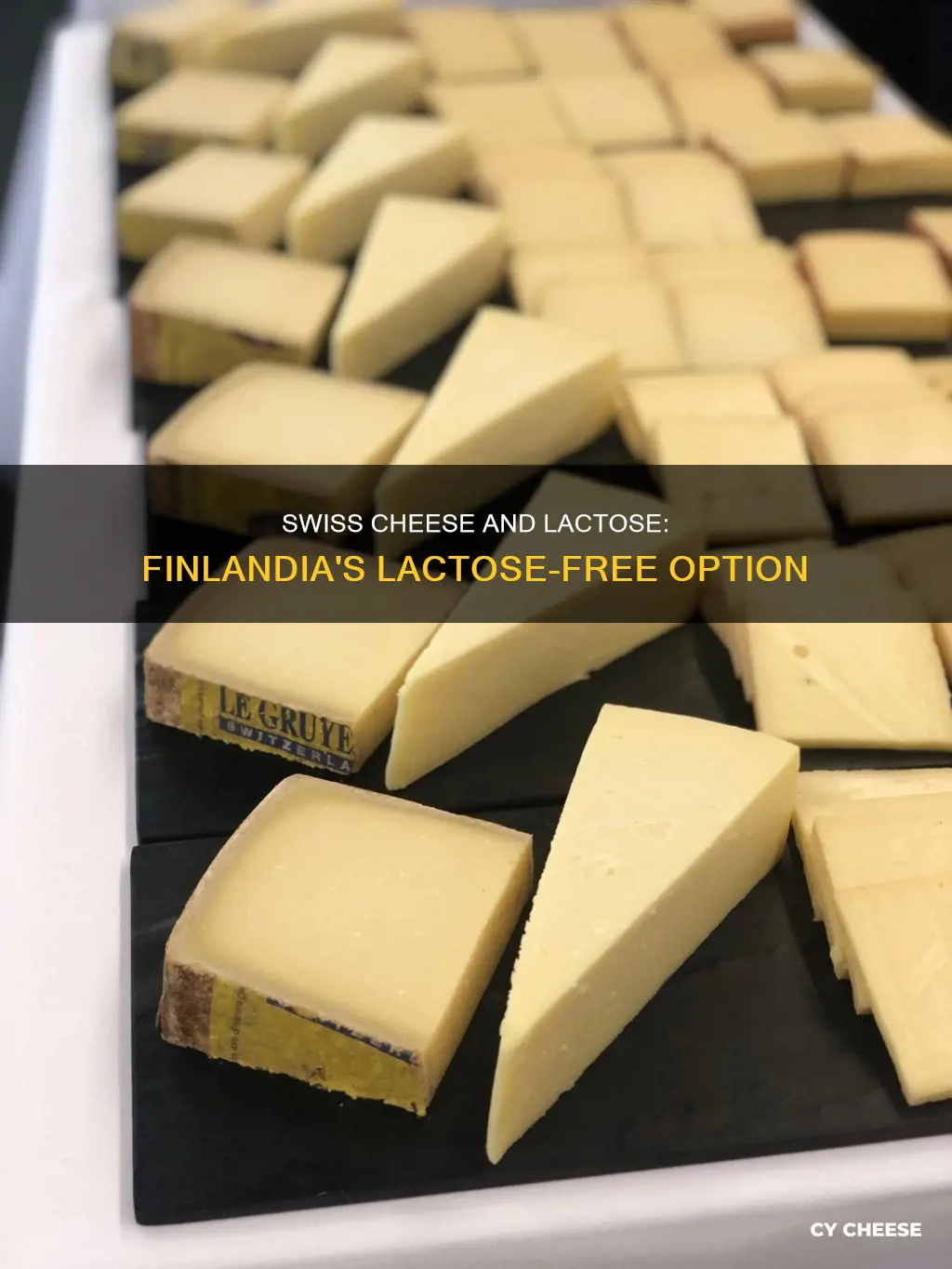 is finlandia swiss cheese lactose free