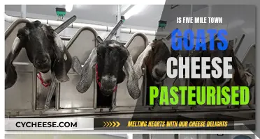 Goats Cheese Conundrum: Five-Mile Town's Pasteurization Process