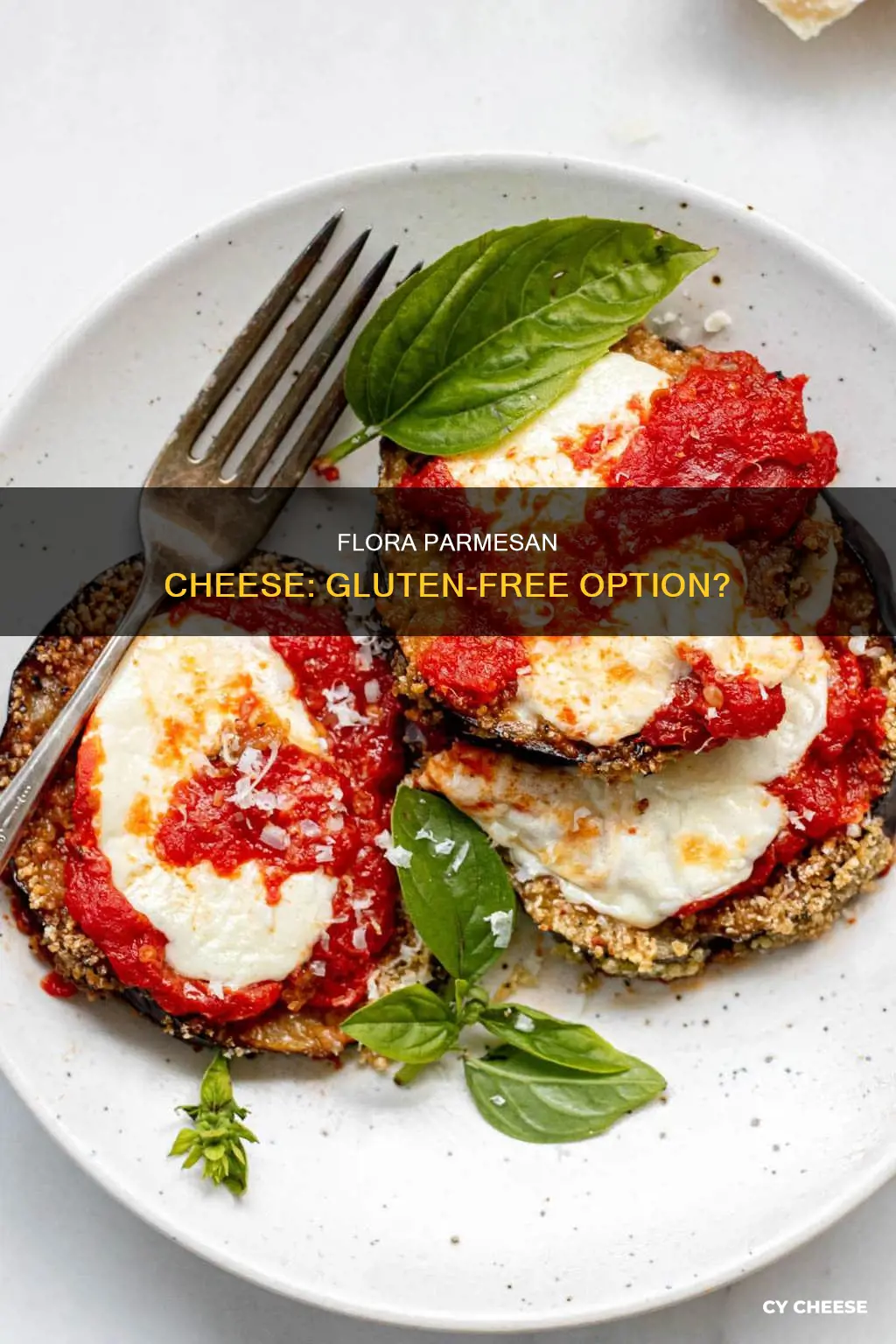 is flora parmesan cheese gluten free