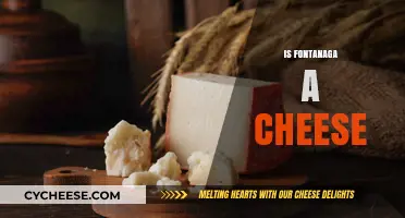 Is Fontanaga a Cheese? Unraveling the Mystery Behind the Name