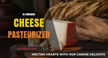 Is Fontiago Cheese Pasteurized? Understanding Its Production Process