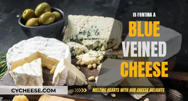 Fontina Cheese: Blue Veins or Not?