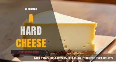 Is Fontina a Hard Cheese? Exploring Its Texture and Uses
