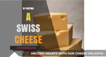 Fontina Cheese: Swiss or Not?