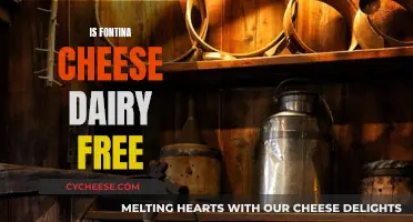 Fontina Cheese: A Dairy-Free Option?