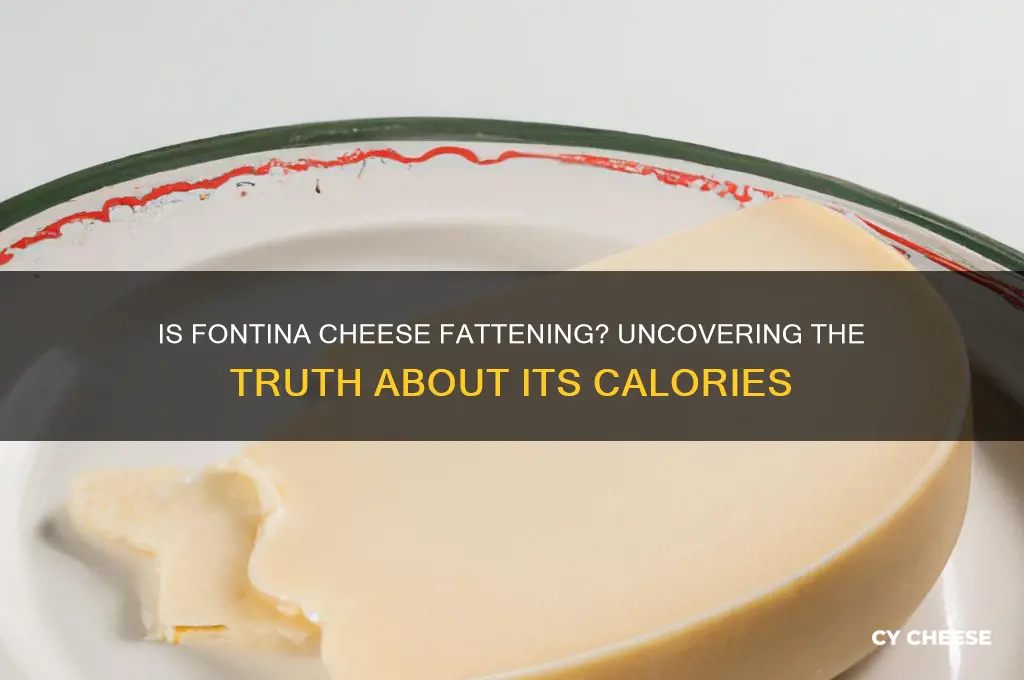 is fontina cheese fattening