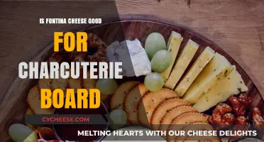 Fontina Cheese: Charcuterie Board Essential?