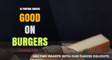 Fontina Cheese: The Ultimate Burger Topping?