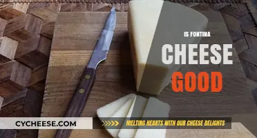 Fontina Cheese: Delicious or Overrated?